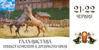 В Древнем Киеве состоится гала-представление Княжеской конюшни